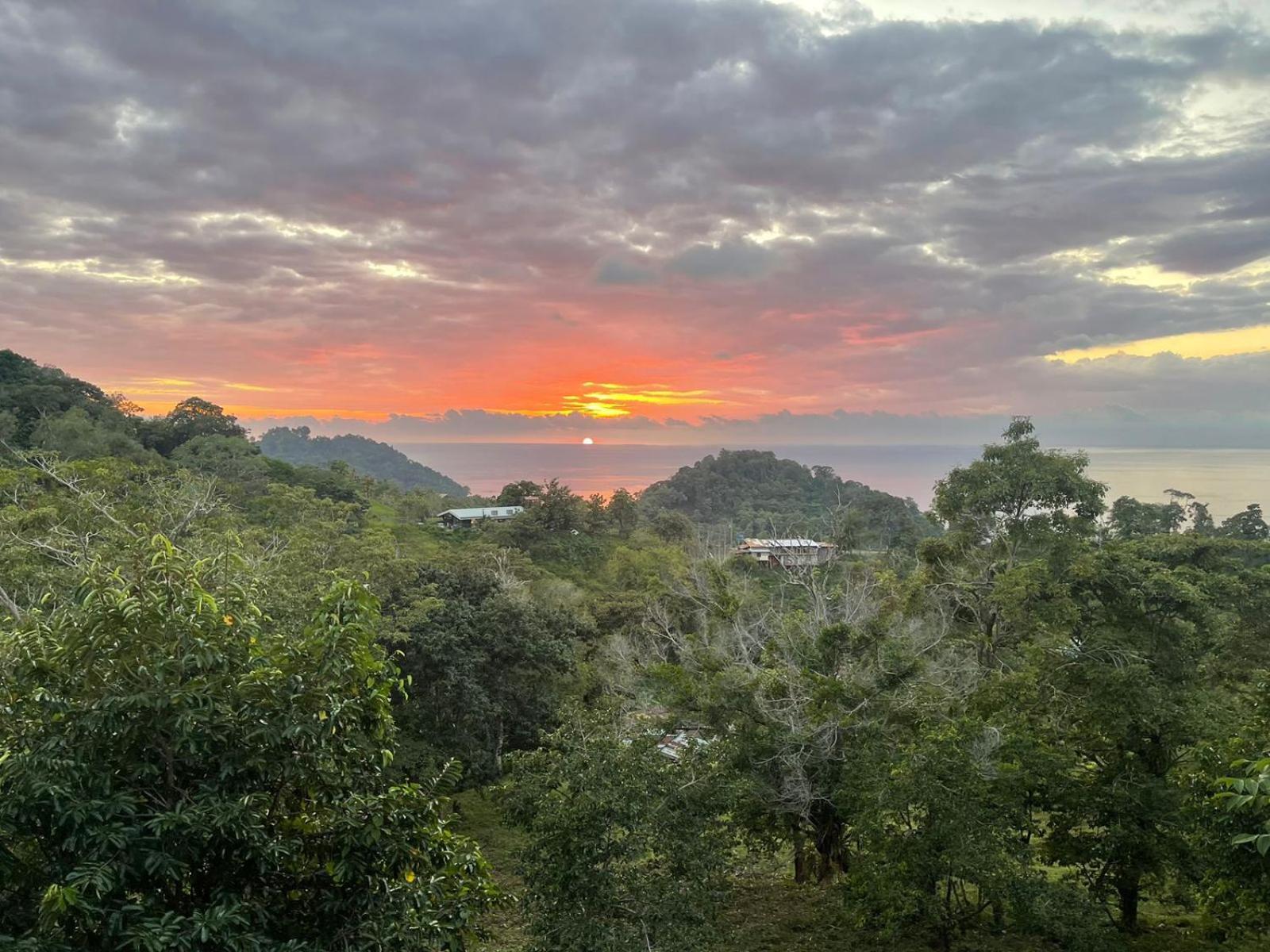 Pura Natura Lodge Manuel Antonio Exterior photo